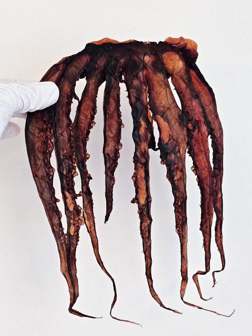 말랑 망족 대왕발 200g